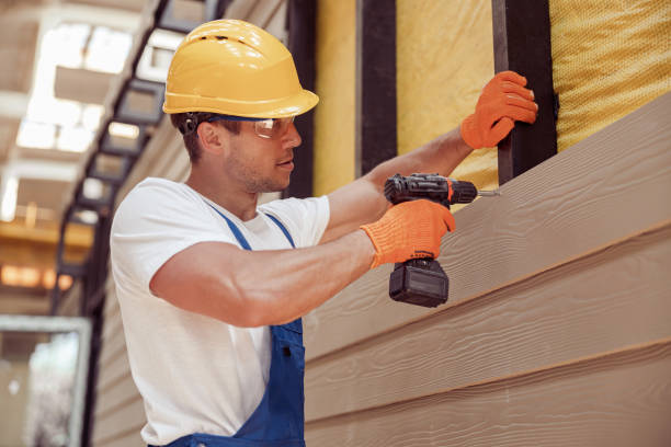 Best Custom Trim and Detailing for Siding  in Atwood, IL